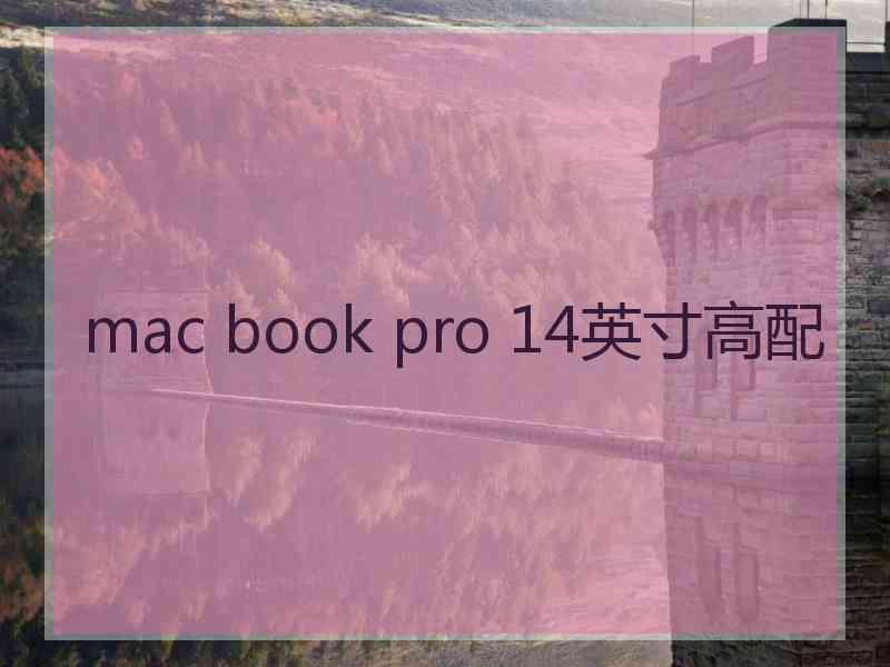 mac book pro 14英寸高配