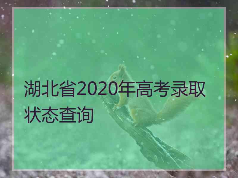 湖北省2020年高考录取状态查询