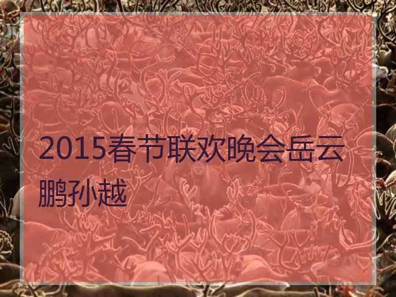 2015春节联欢晚会岳云鹏孙越