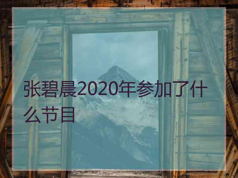 张碧晨2020年参加了什么节目