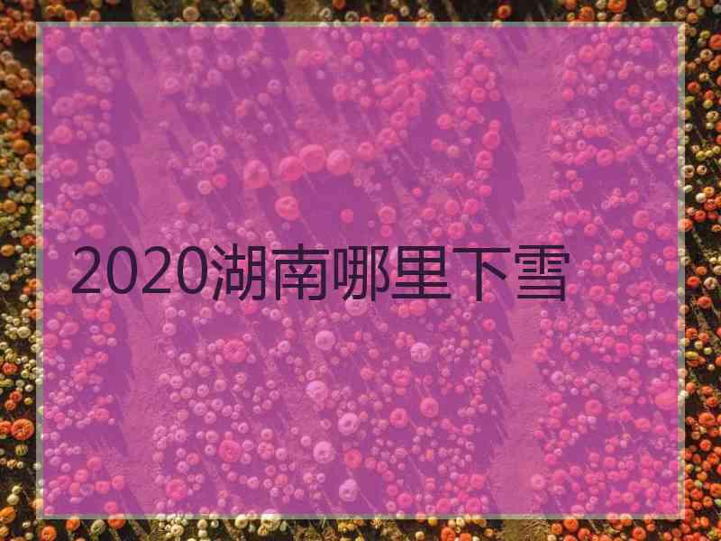 2020湖南哪里下雪