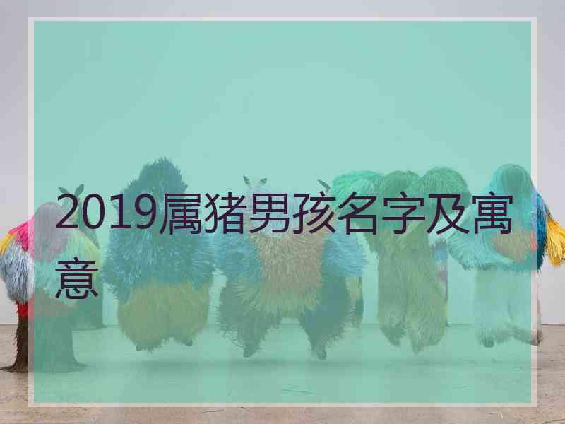 2019属猪男孩名字及寓意