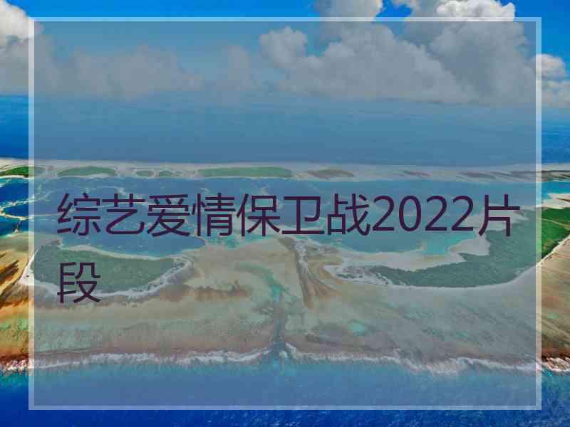 综艺爱情保卫战2022片段