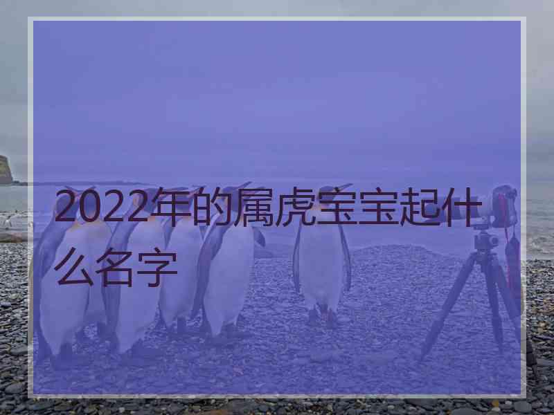 2022年的属虎宝宝起什么名字