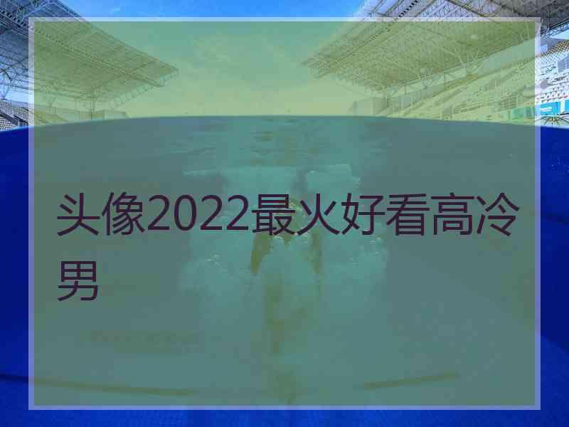 头像2022最火好看高冷男