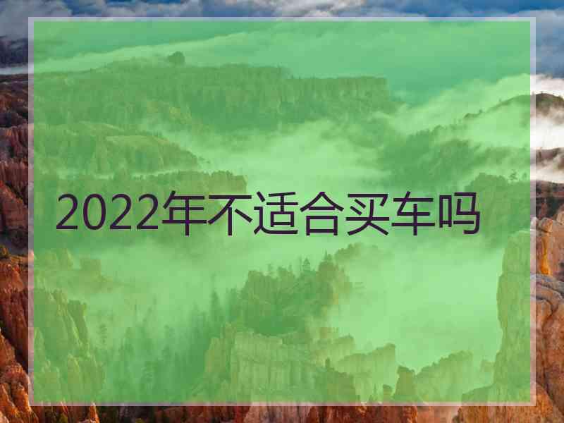 2022年不适合买车吗