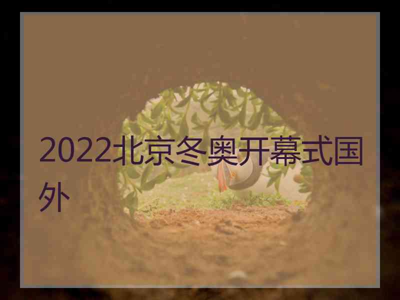 2022北京冬奥开幕式国外