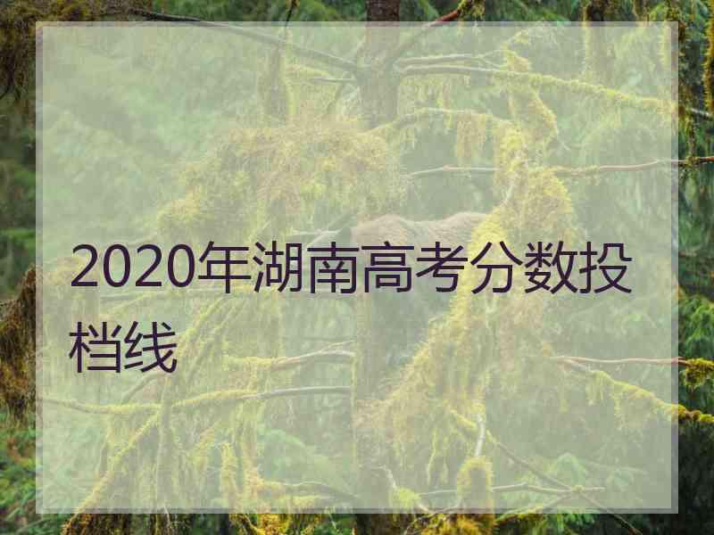 2020年湖南高考分数投档线