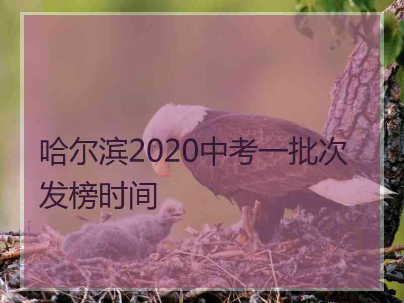 哈尔滨2020中考一批次发榜时间