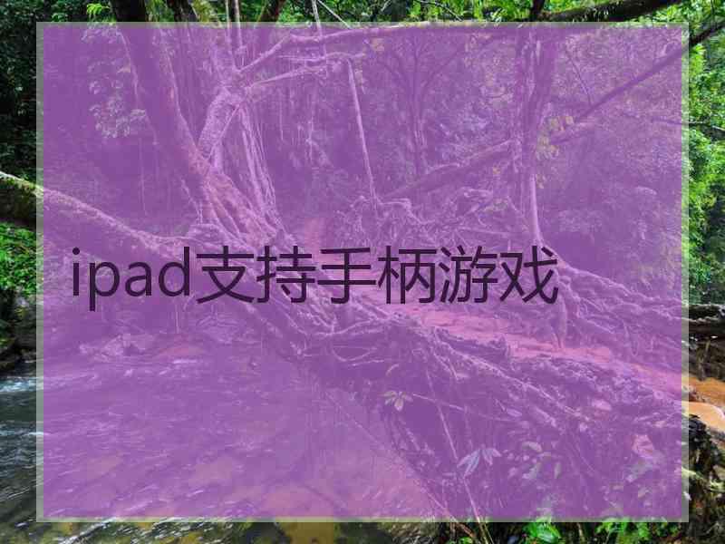 ipad支持手柄游戏