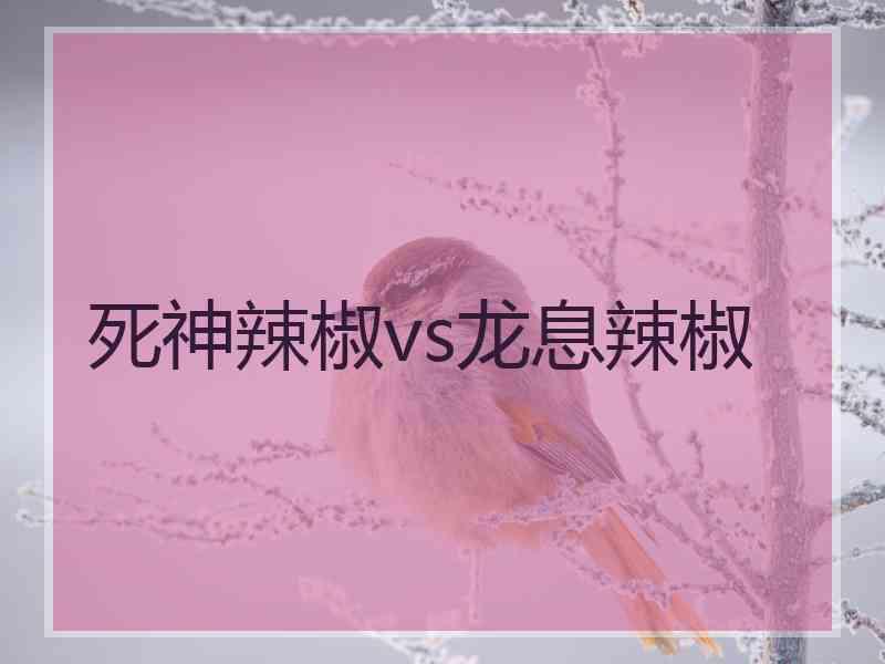 死神辣椒vs龙息辣椒