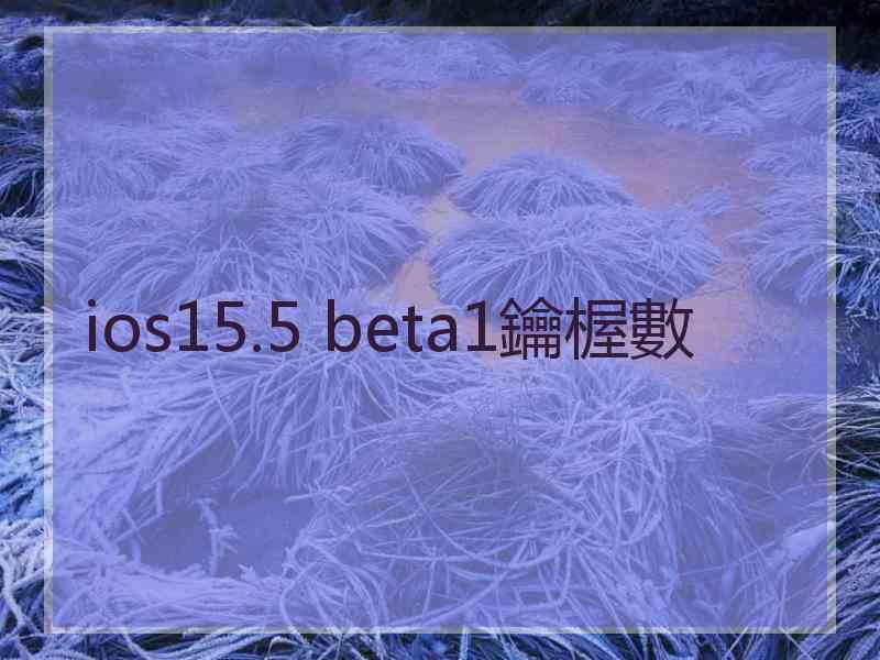 ios15.5 beta1鑰楃數