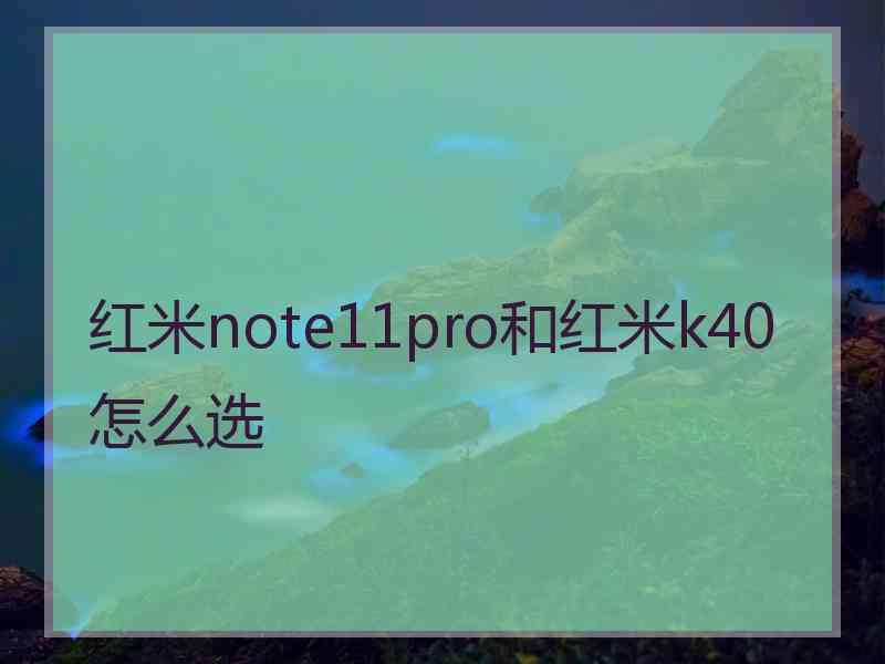 红米note11pro和红米k40怎么选