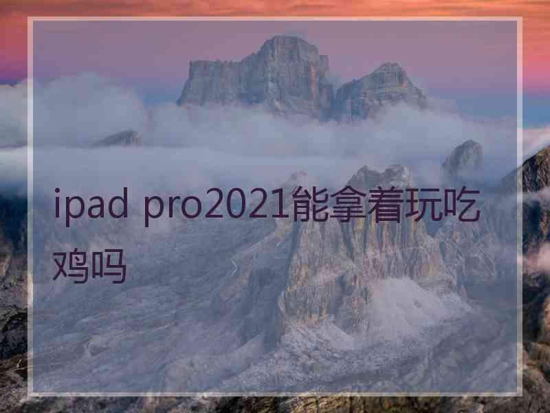 ipad pro2021能拿着玩吃鸡吗