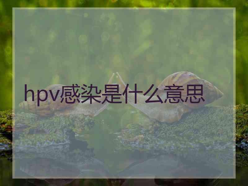 hpv感染是什么意思