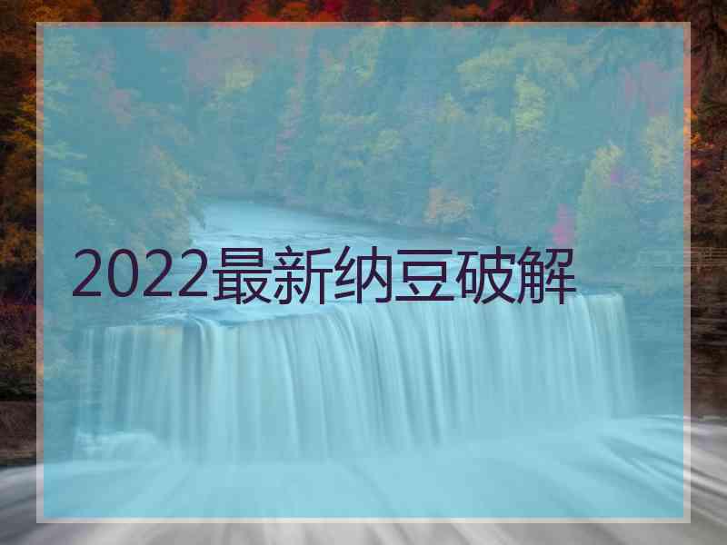 2022最新纳豆破解