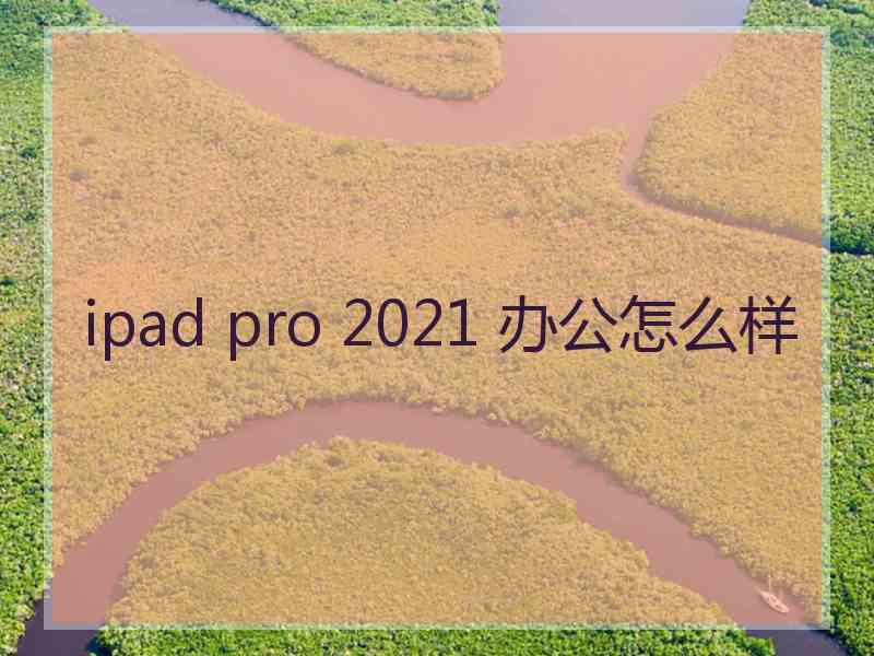 ipad pro 2021 办公怎么样