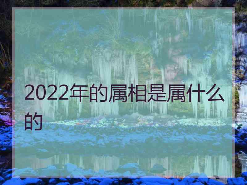 2022年的属相是属什么的