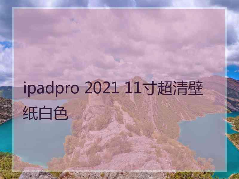 ipadpro 2021 11寸超清壁纸白色