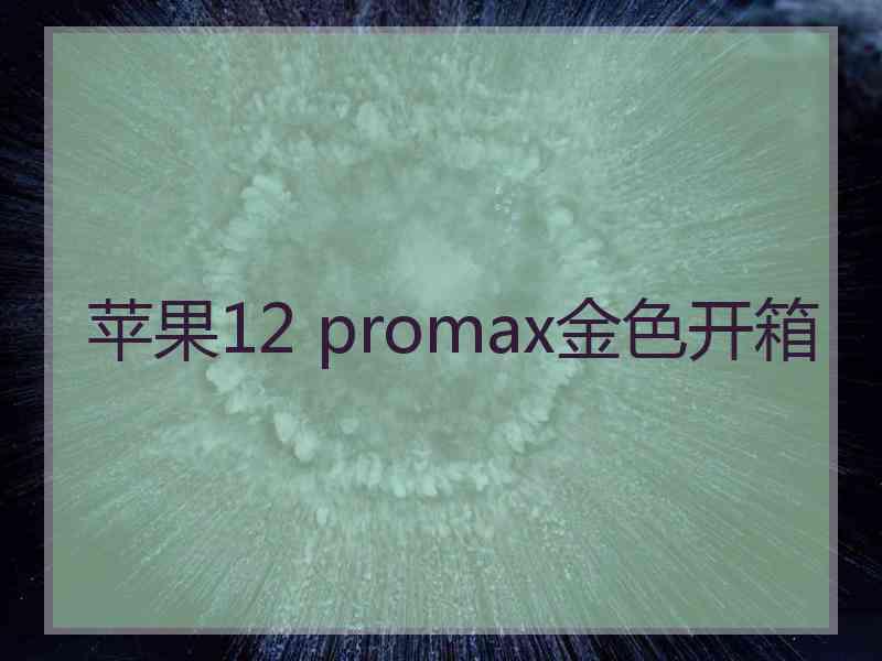 苹果12 promax金色开箱