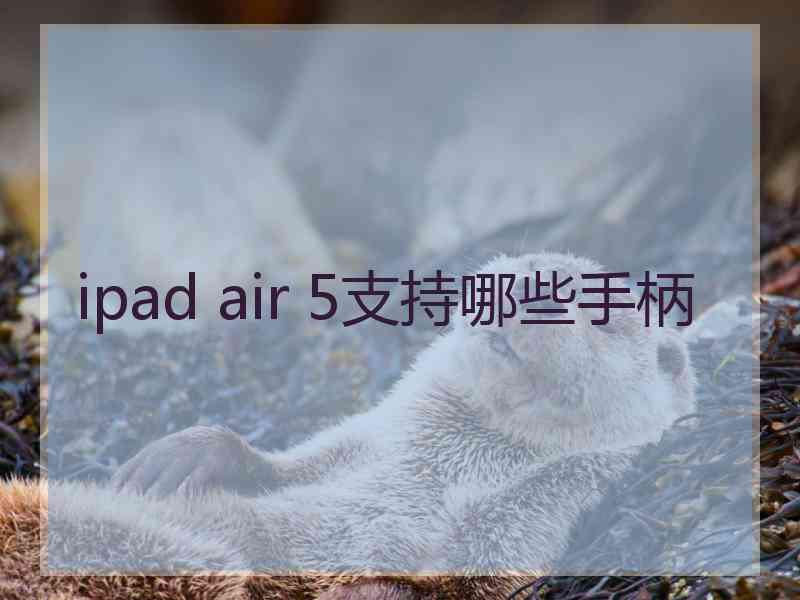 ipad air 5支持哪些手柄