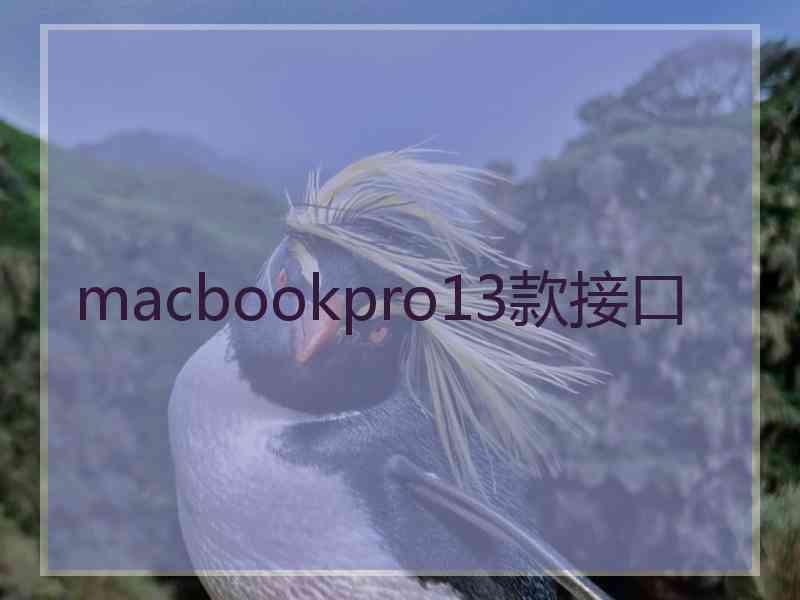 macbookpro13款接口