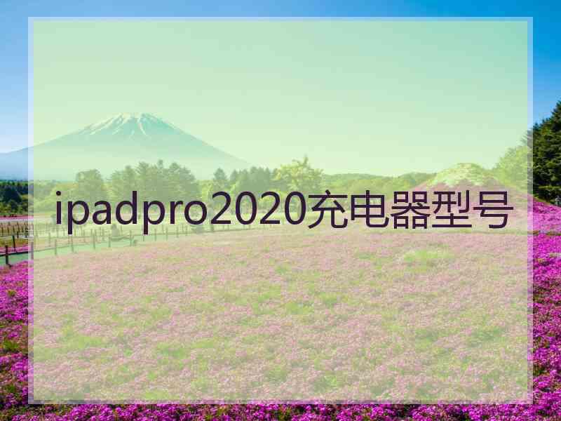 ipadpro2020充电器型号