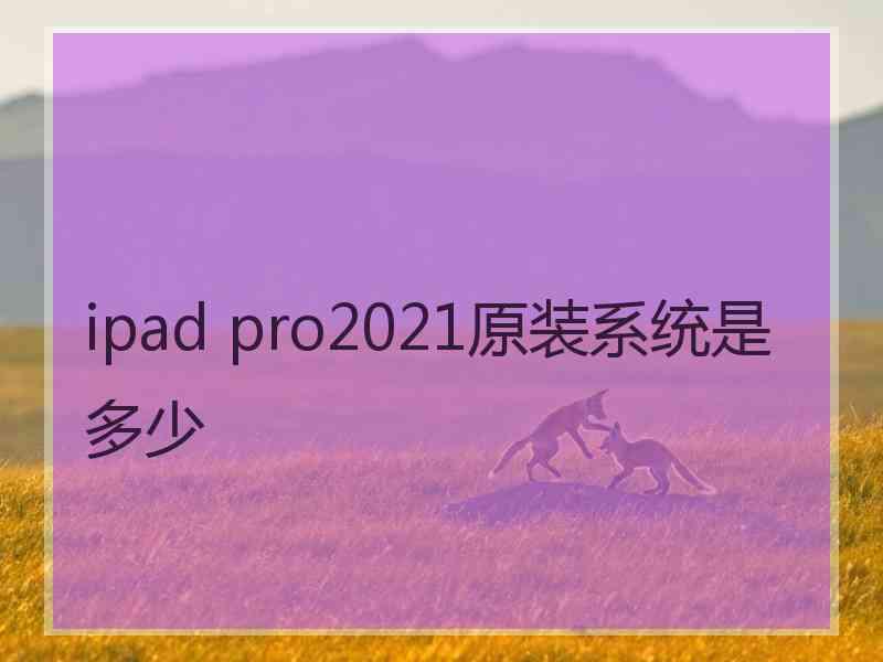 ipad pro2021原装系统是多少