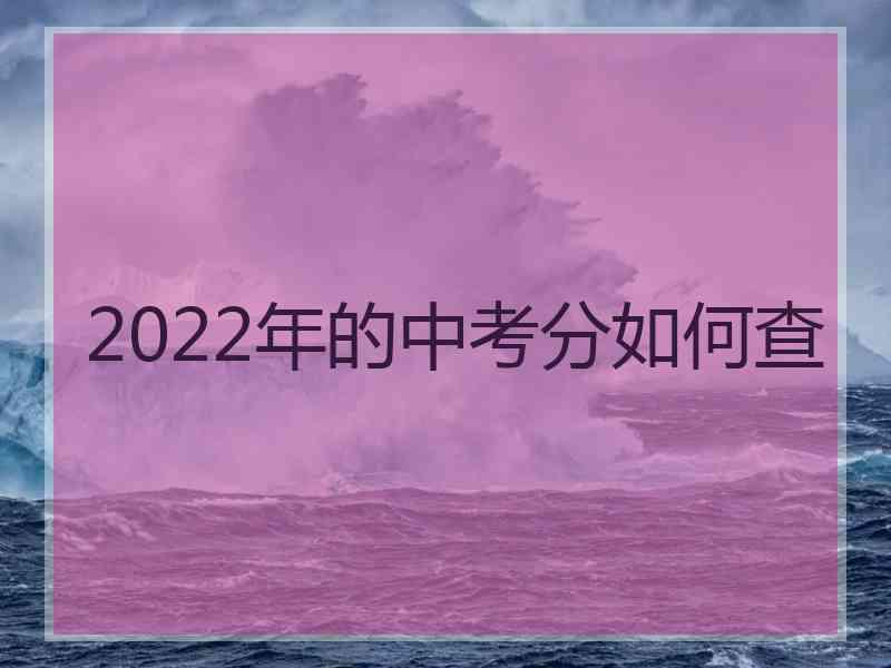 2022年的中考分如何查