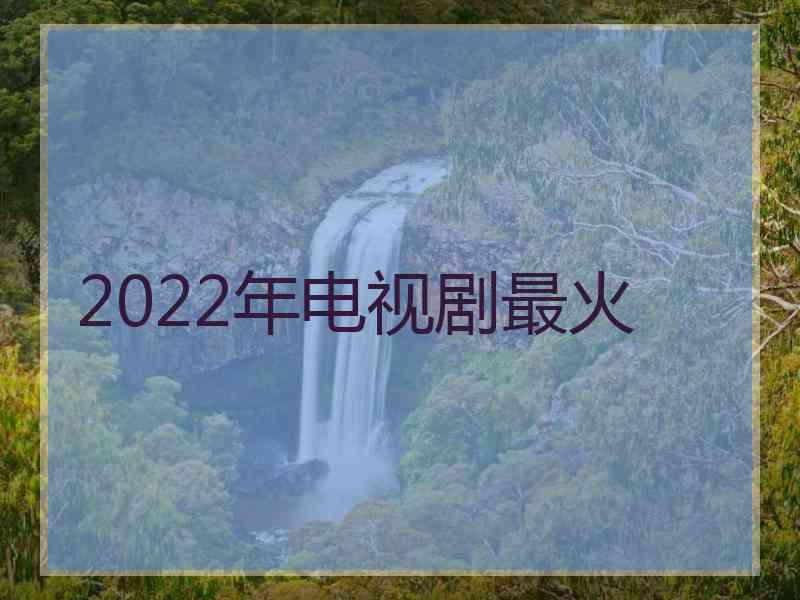 2022年电视剧最火