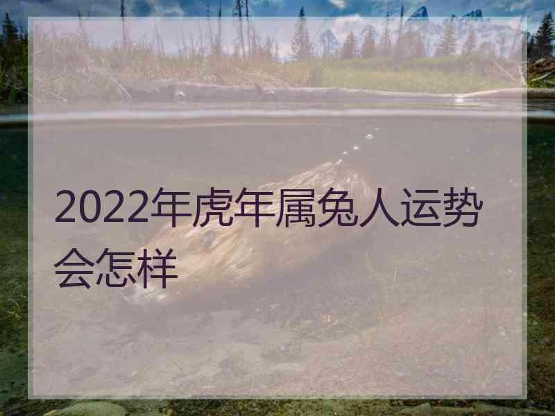 2022年虎年属兔人运势会怎样