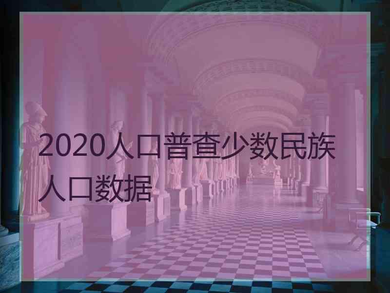 2020人口普查少数民族人口数据