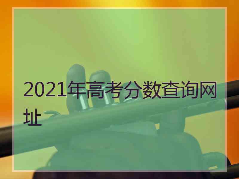 2021年高考分数查询网址