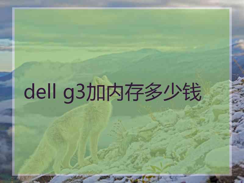 dell g3加内存多少钱