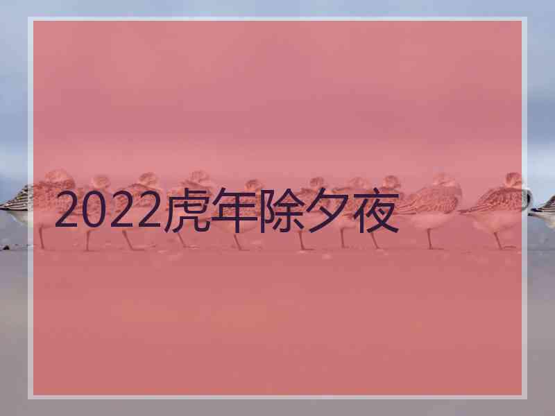 2022虎年除夕夜