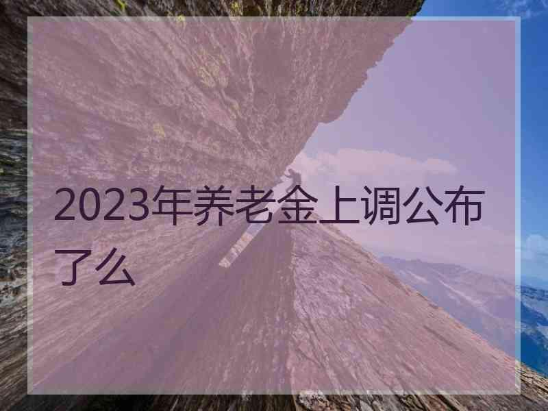 2023年养老金上调公布了么