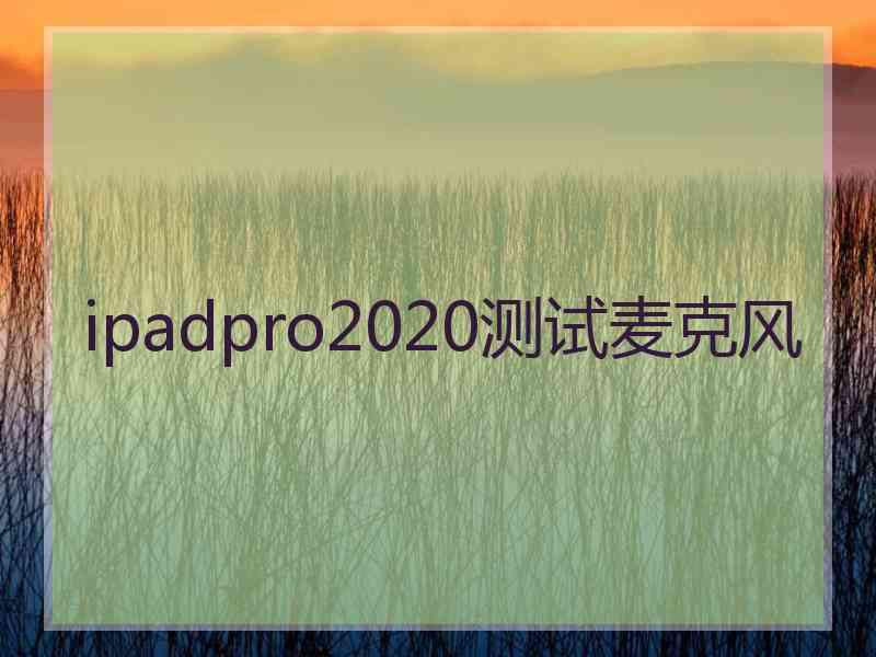 ipadpro2020测试麦克风