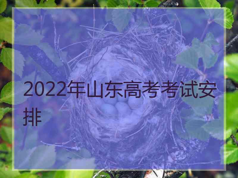 2022年山东高考考试安排