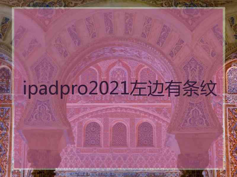 ipadpro2021左边有条纹