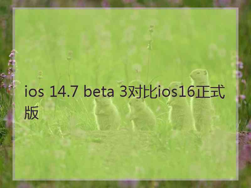 ios 14.7 beta 3对比ios16正式版