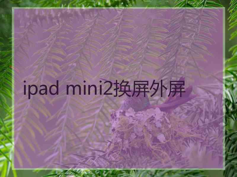 ipad mini2换屏外屏