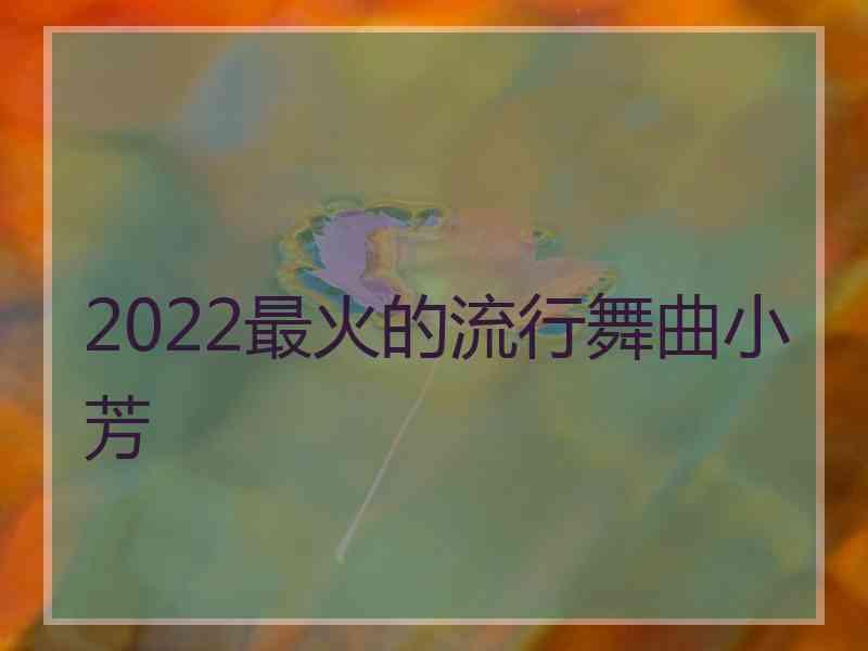 2022最火的流行舞曲小芳