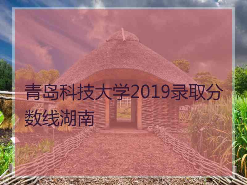 青岛科技大学2019录取分数线湖南