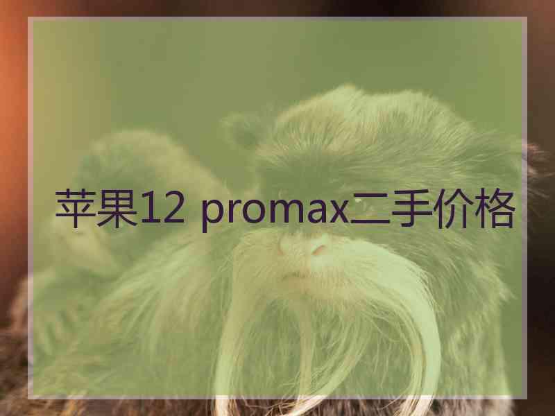 苹果12 promax二手价格