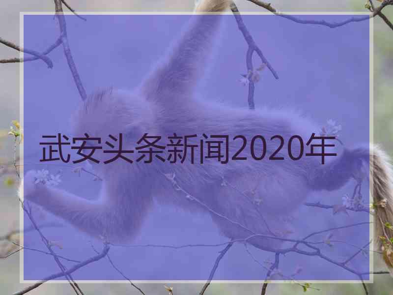 武安头条新闻2020年