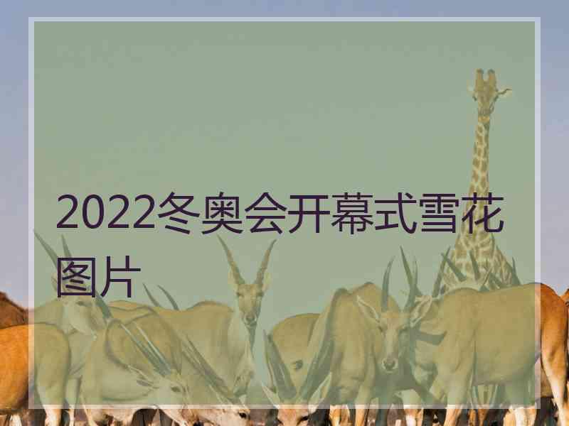 2022冬奥会开幕式雪花图片