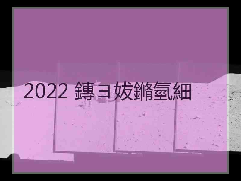 2022 鏄ヨ妭鏅氫細