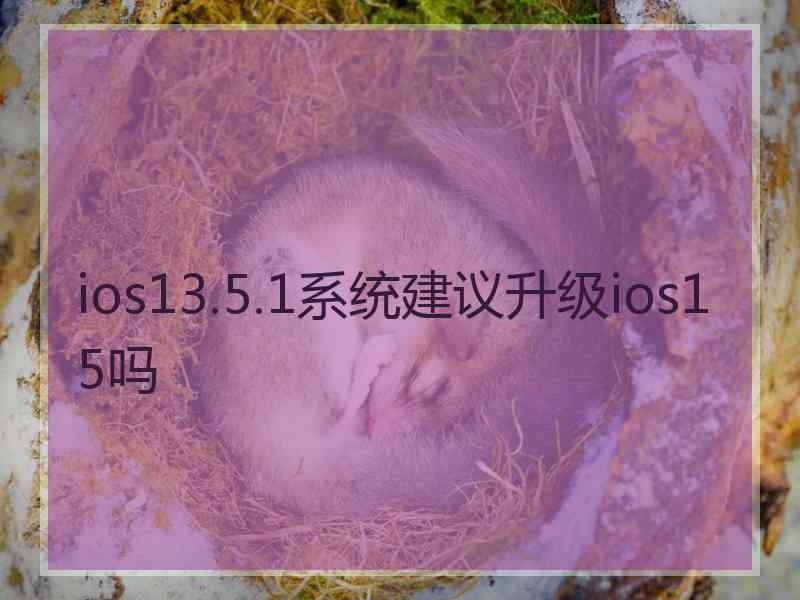 ios13.5.1系统建议升级ios15吗