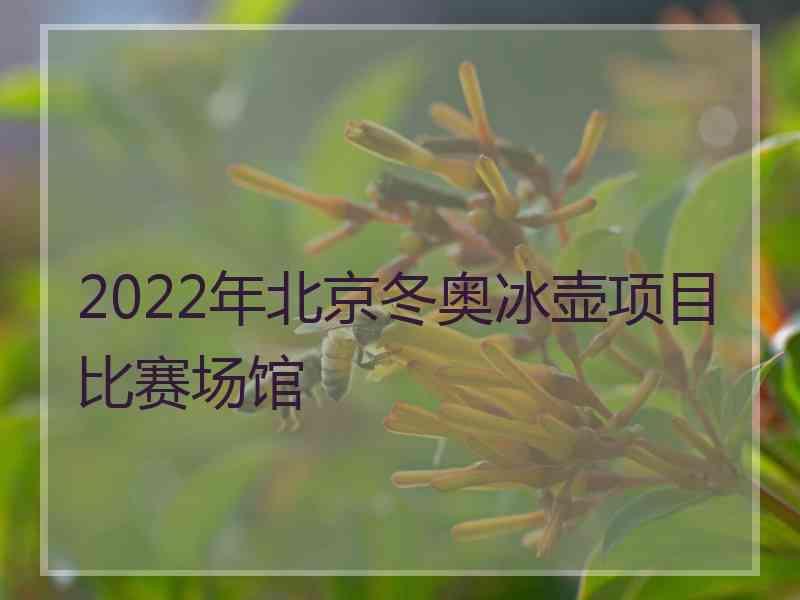 2022年北京冬奥冰壶项目比赛场馆