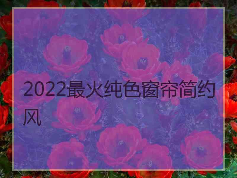 2022最火纯色窗帘简约风